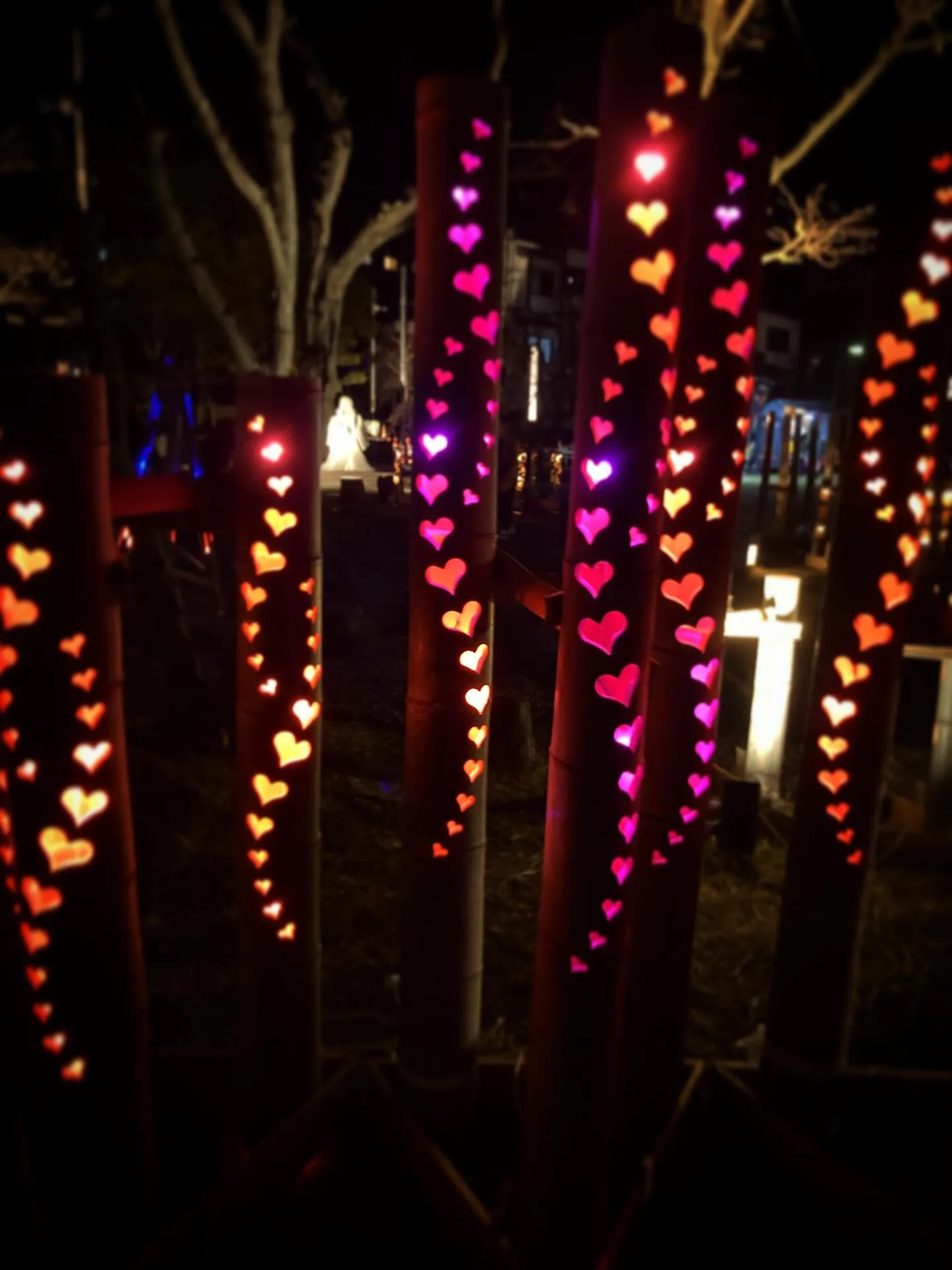 【第13回 たまな粋燈 -2026-】