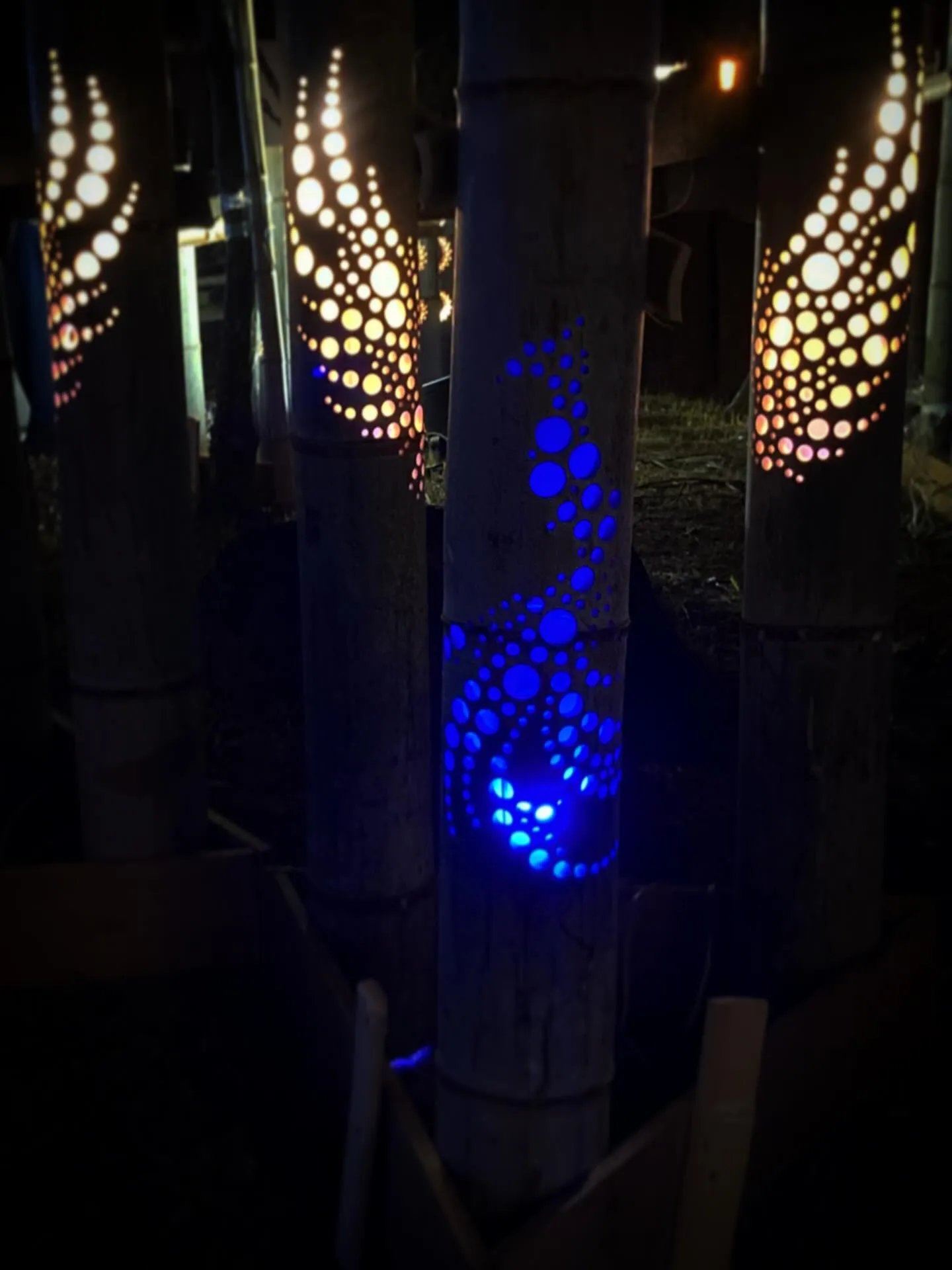 【第13回 たまな粋燈 -2026-】